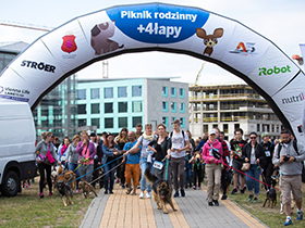 Piknik 4 Łapy