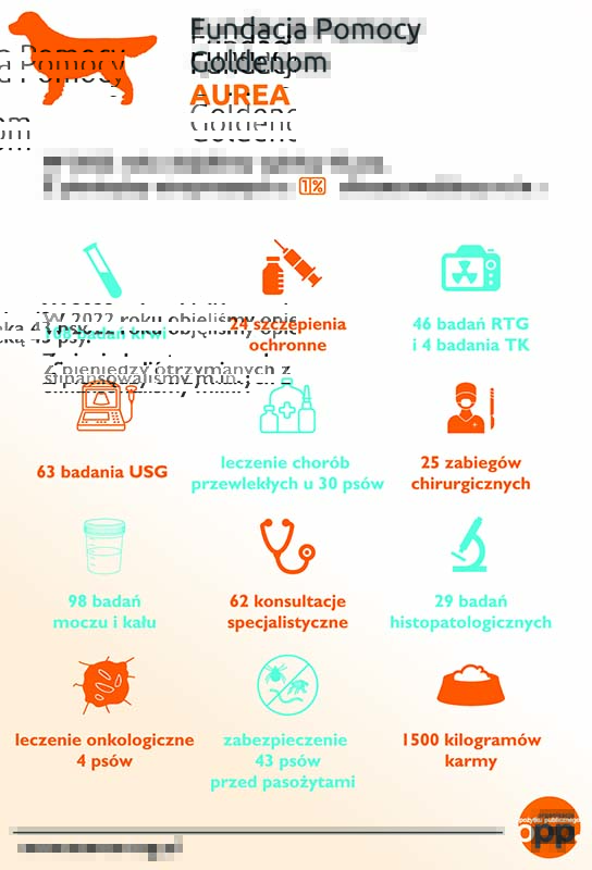 Ulotka 2023 krzywe_Obszar roboczy 1